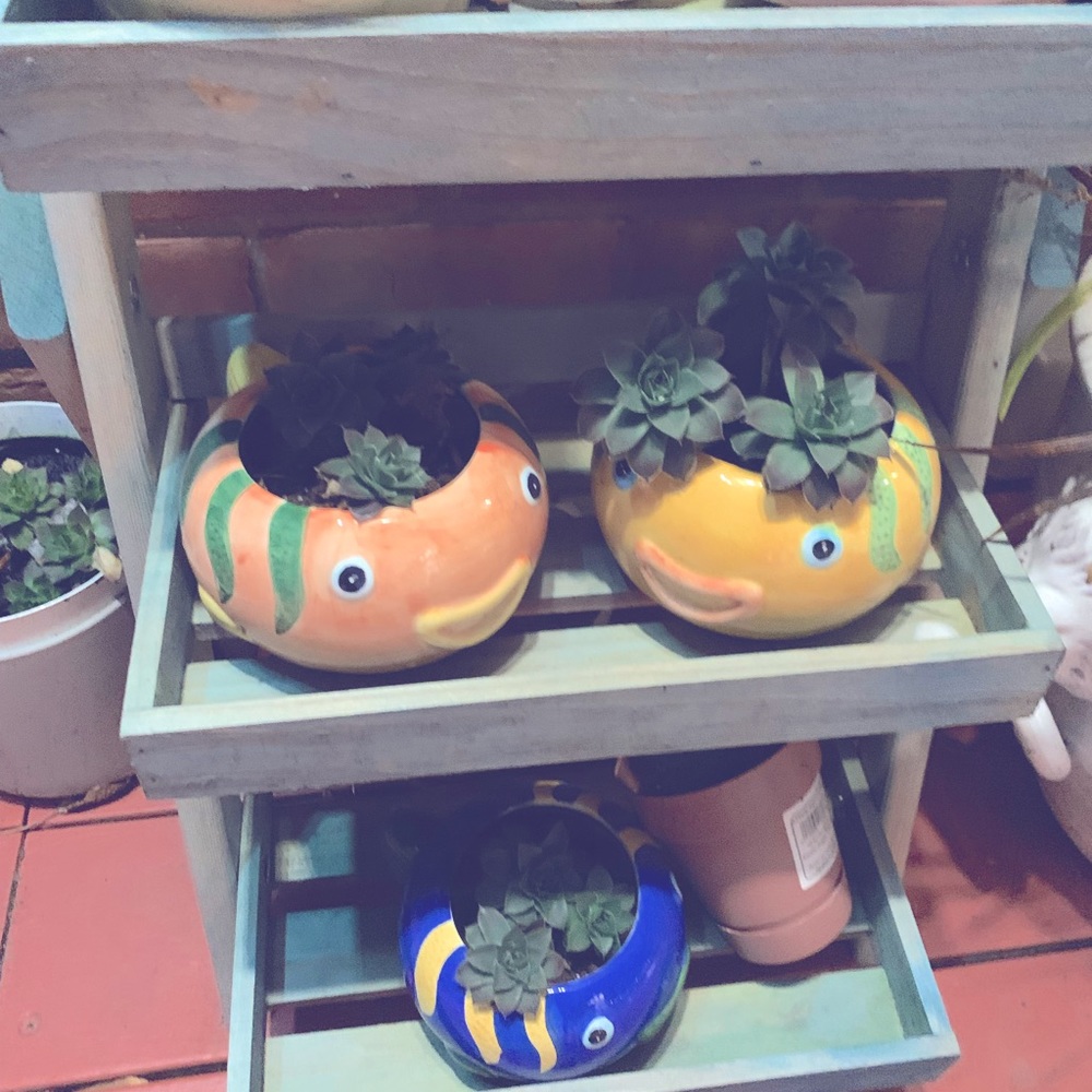 Meet your Posher, Nik